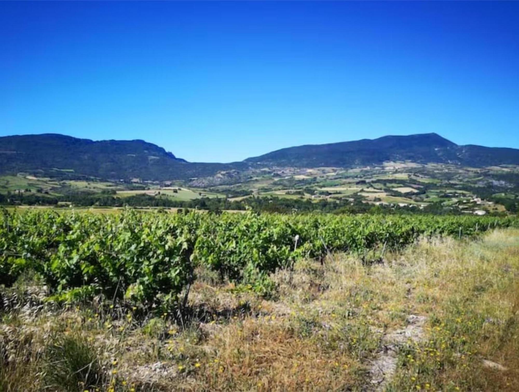 Le Cigalou - Drome Provencale Villa Sainte-Jalle Buitenkant foto
